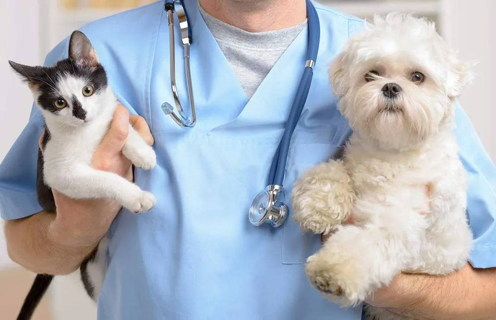Pure Home Pets Health Guarantee